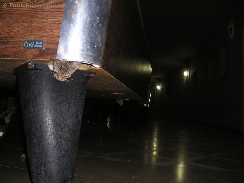 kocka 19.jpg