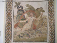 el jem 11